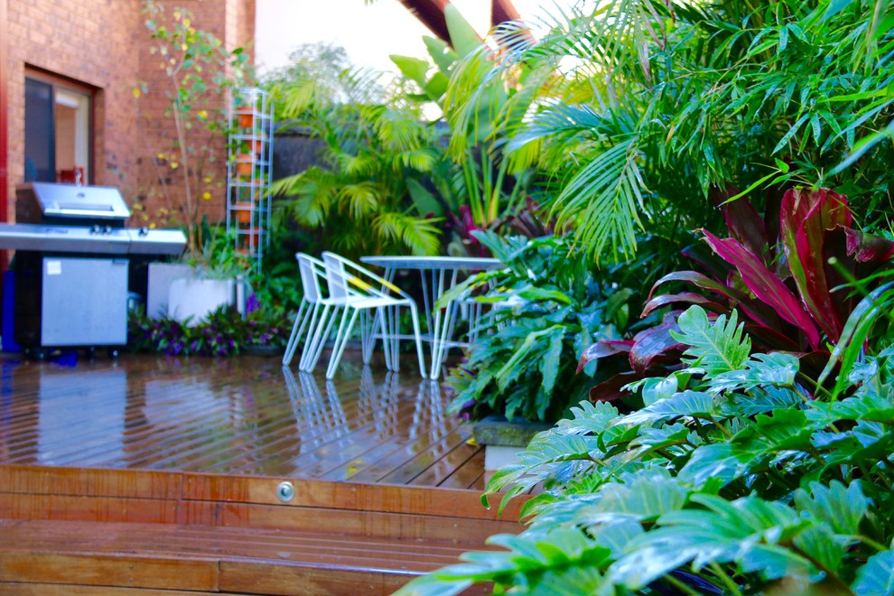 Small tropical backyard partial sun formal garden in Sydney with a vertical garden and decking for summer.