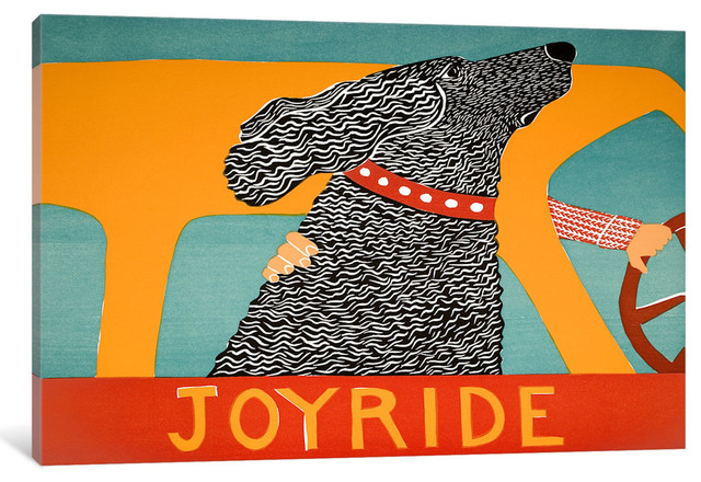 Joyride by Stephen Crye