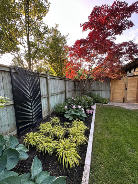 Sunnylea Side Yard contemporaneo-giardino