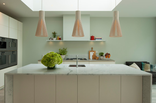 Transitional Kitchen transitional-kitchen