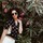webuser_341715072