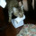 janice_creede