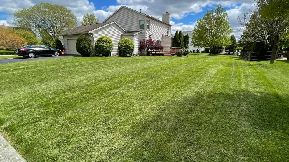 Landscaping