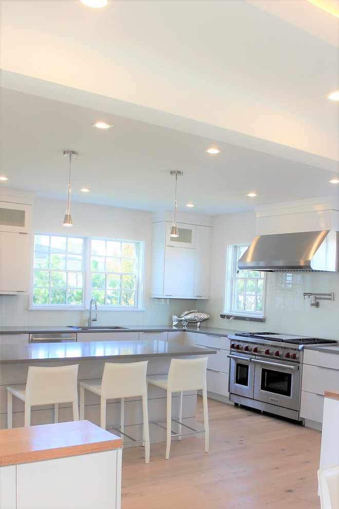Example of a minimalist kitchen design in Boston