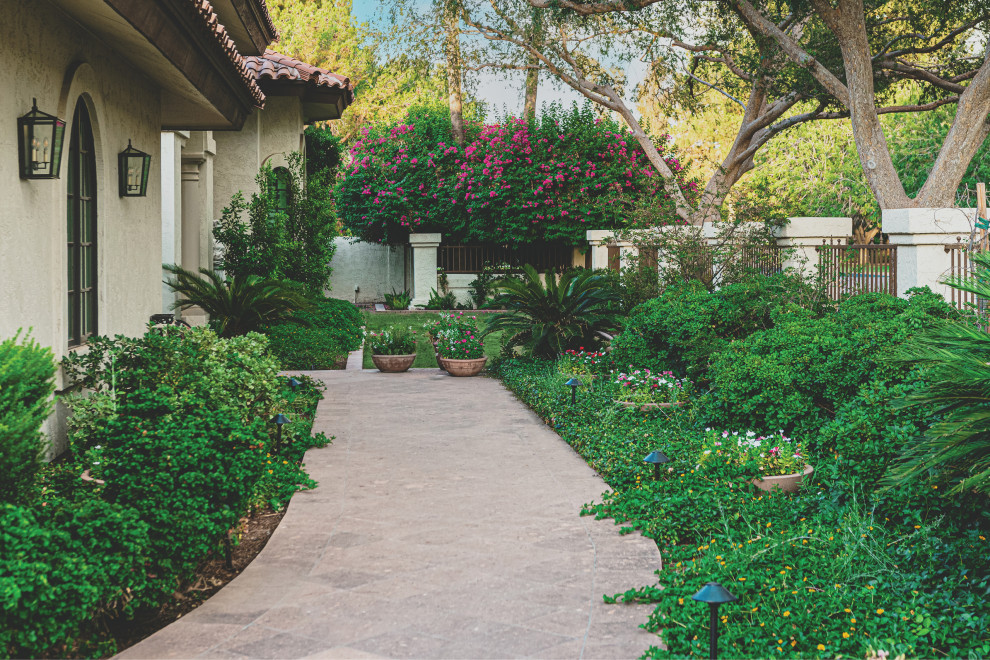 Inspiration for a mediterranean front yard formal garden in Phoenix.