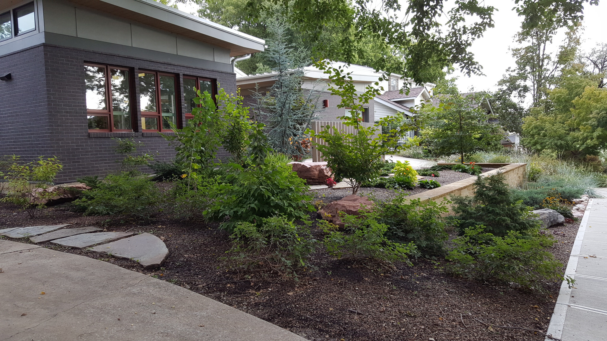 Westwood Contemporary Home Landscape