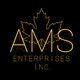 American Marketing Service Enterprises Inc.