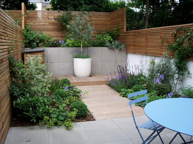 Courtyard garden design in Barnsbury, London - Contemporary - Garden