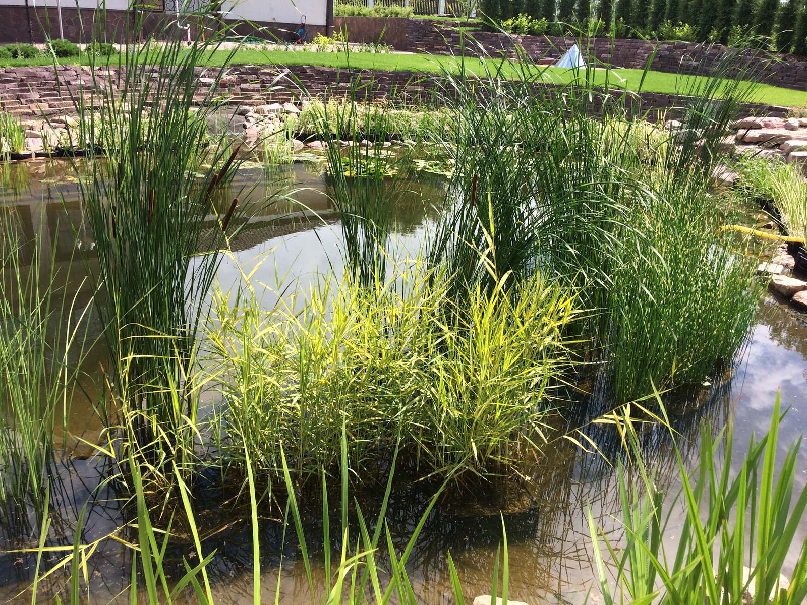 "реконструкция водоема"