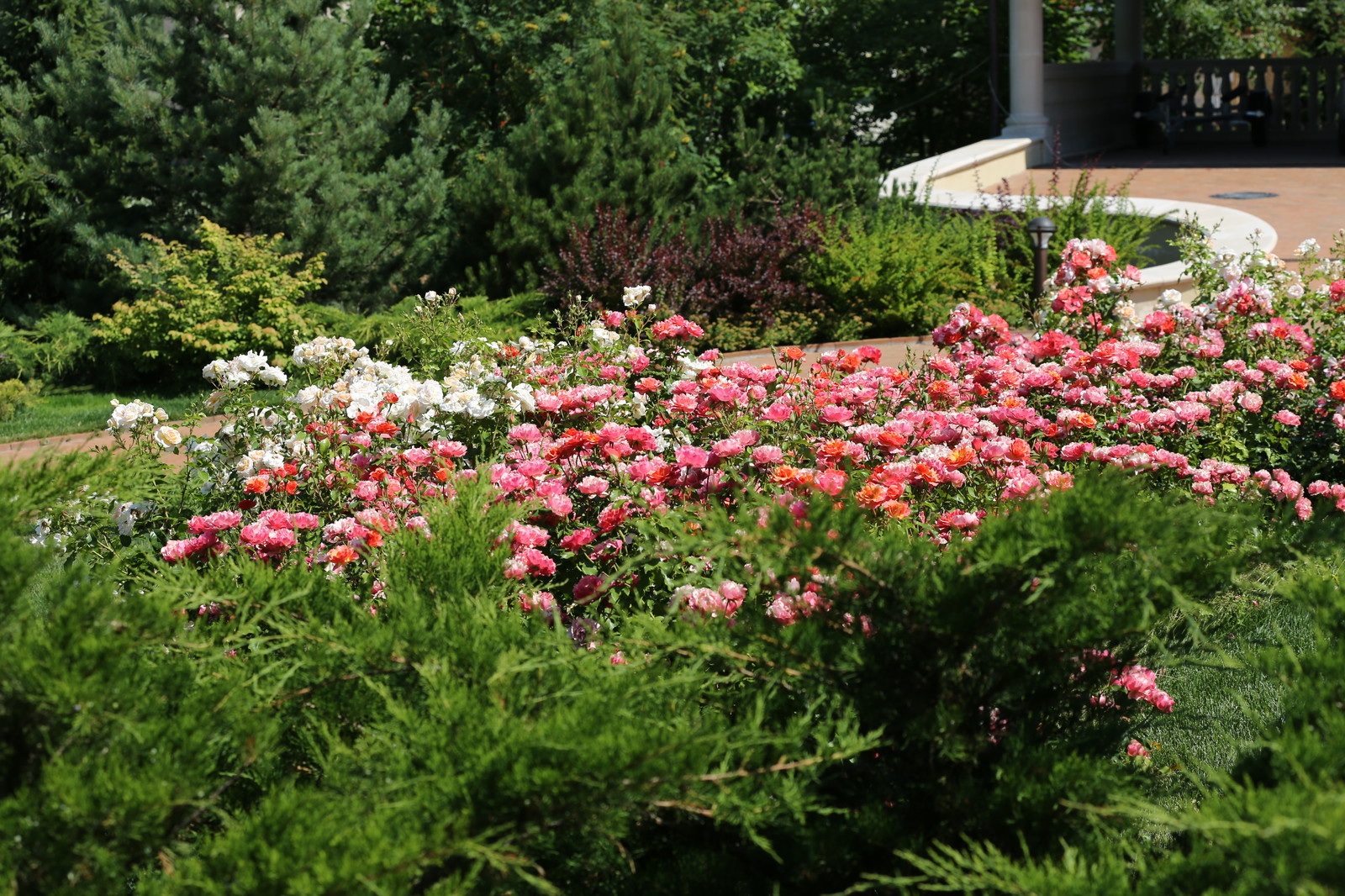 Розарии в садах NB-GARDEN