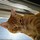 jesse_nobbe
