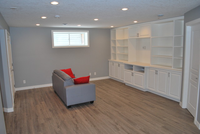 Basement developement transitional-basement
