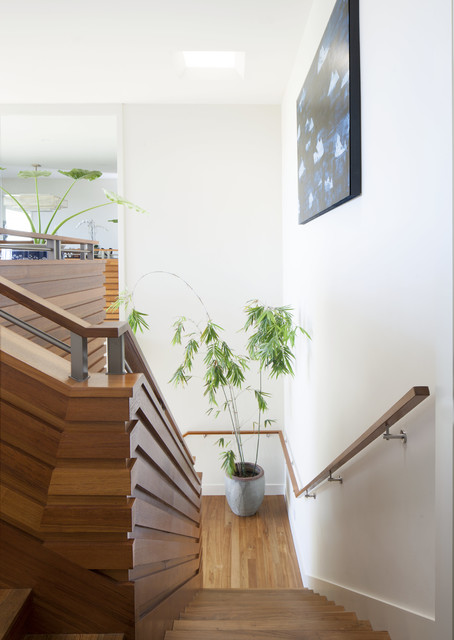 Subtle Elegance contemporary-trappa
