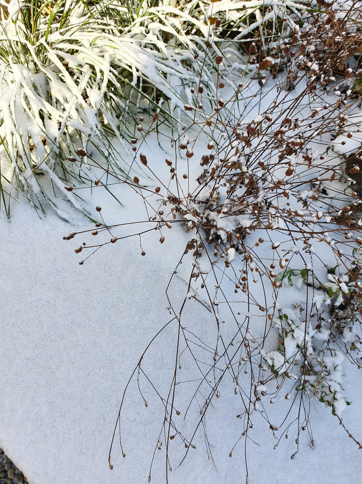 Частный сад в Самарской области