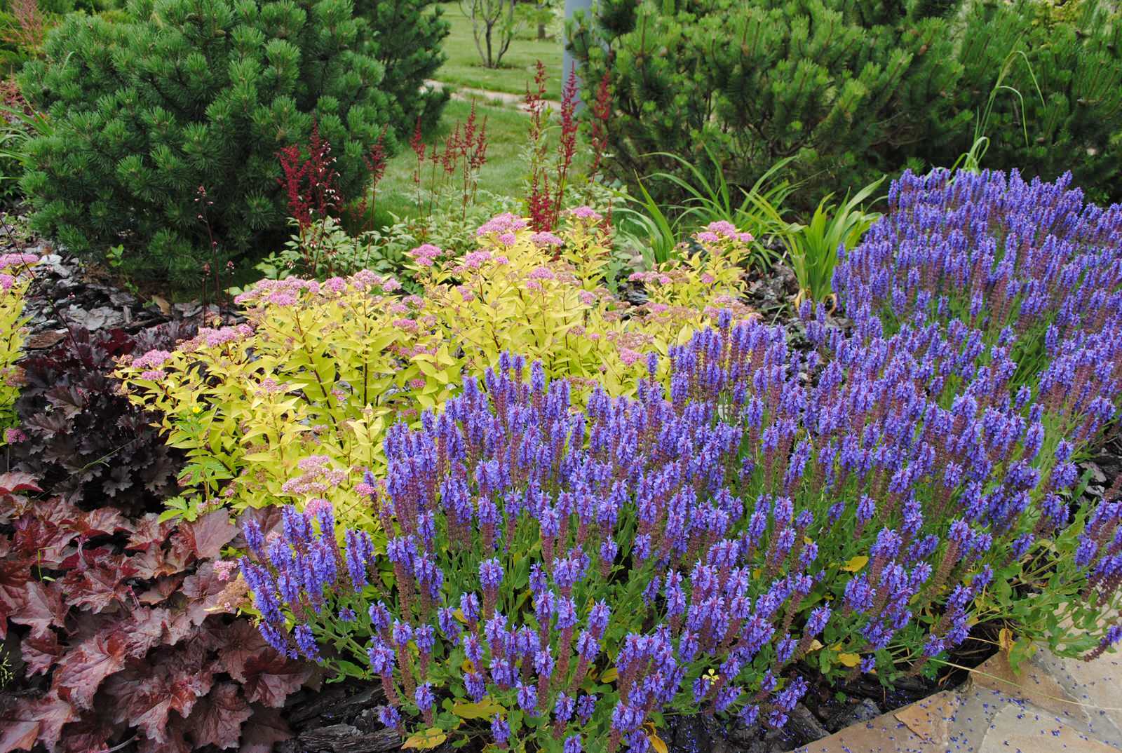 КП Графские пруды