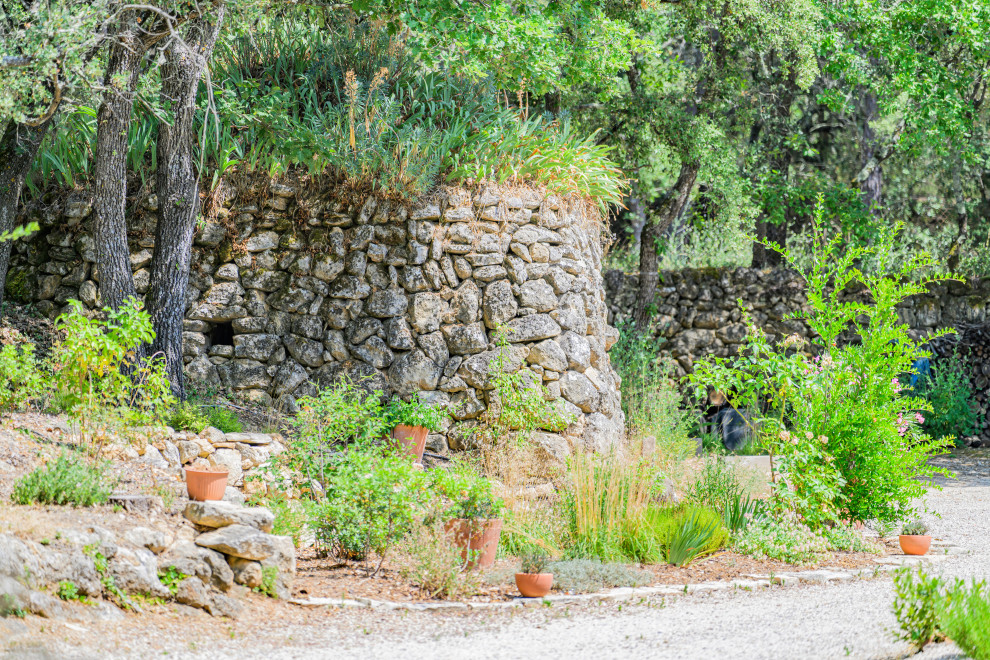 Jardin naturel sous les chênes