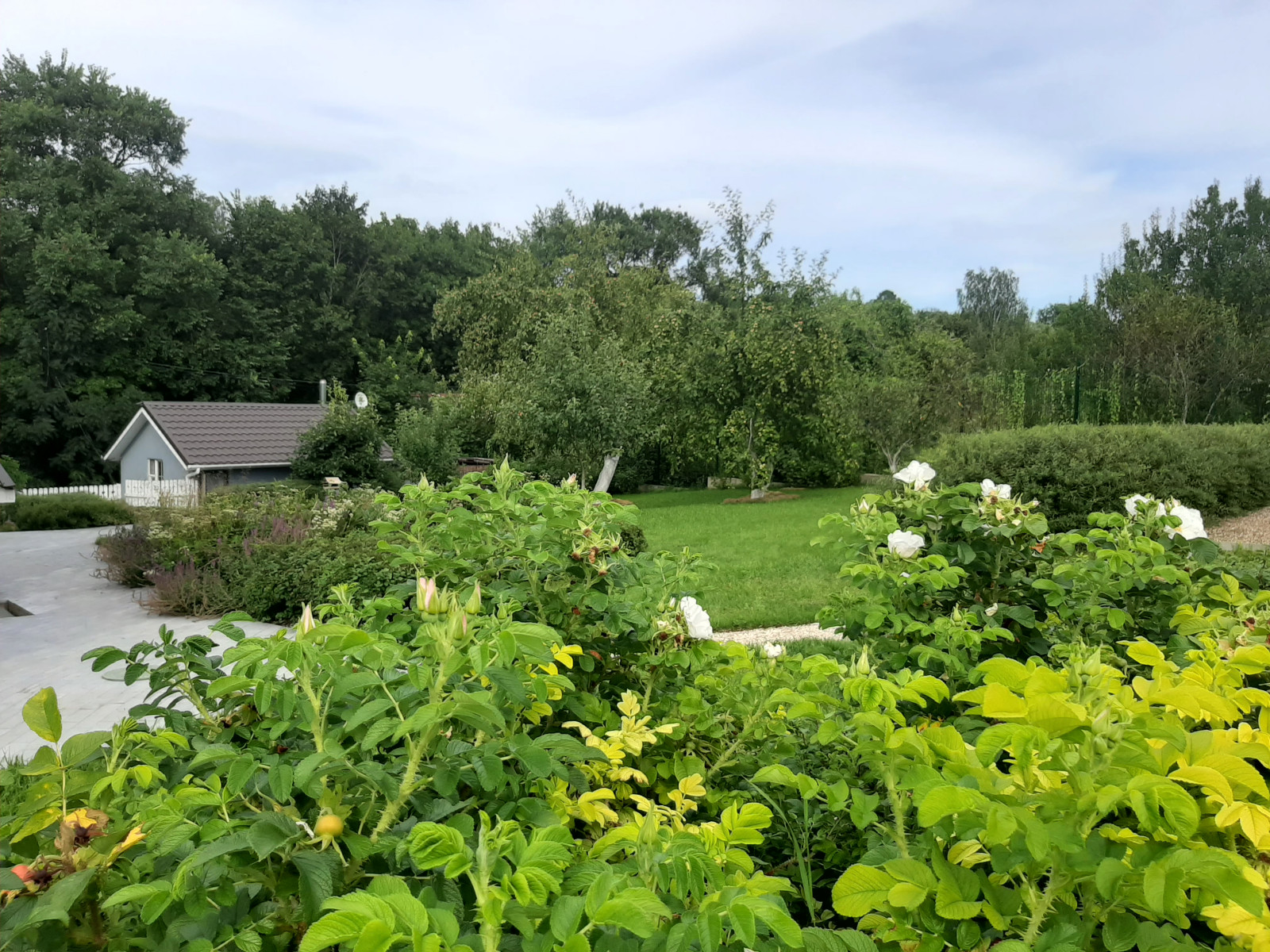 В духе ретро