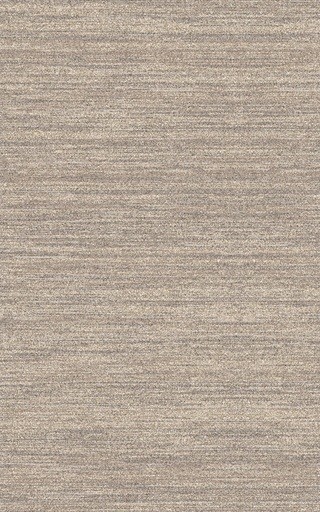 Haize Rectangular Rug in Taupe (2&#039; x 3&#039;)