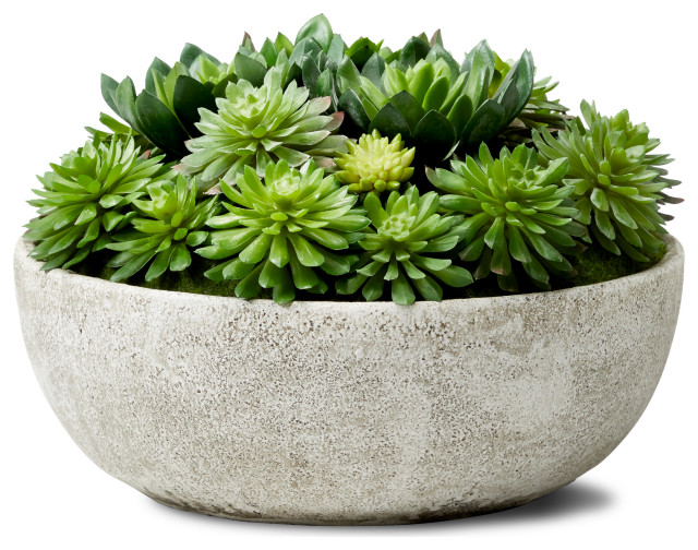 Echeveria Succulent Mix In Bowl, 10"x7" - Tropical - Artificial Plants And  Trees - by Serene Spaces Living | Houzz