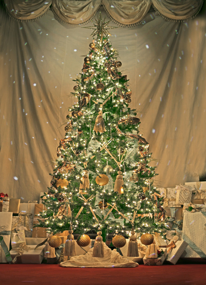 Lockwood Mathews Mansion Museum - A Nationally Declared Historical Monument