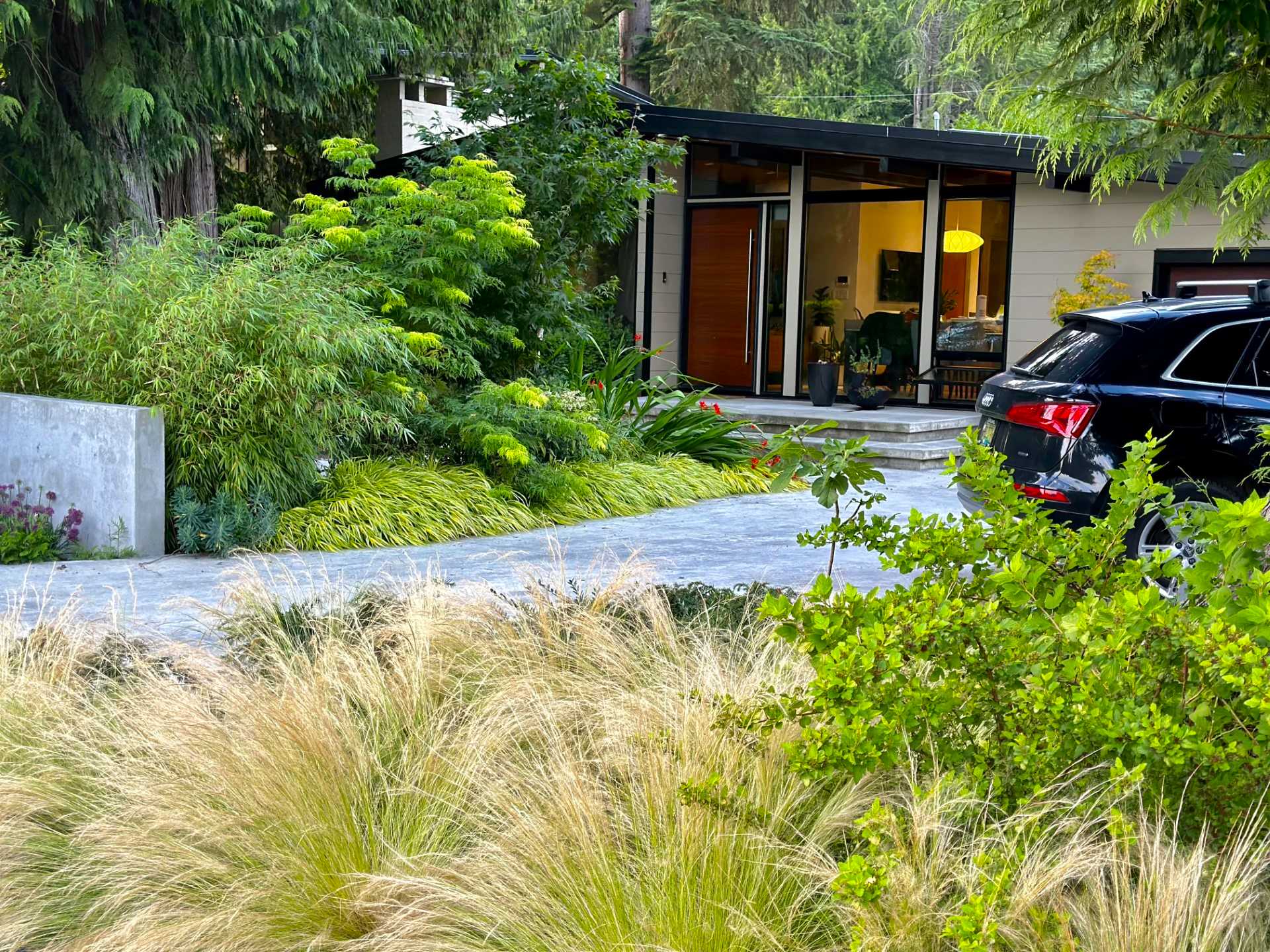 Mid Century Modernized