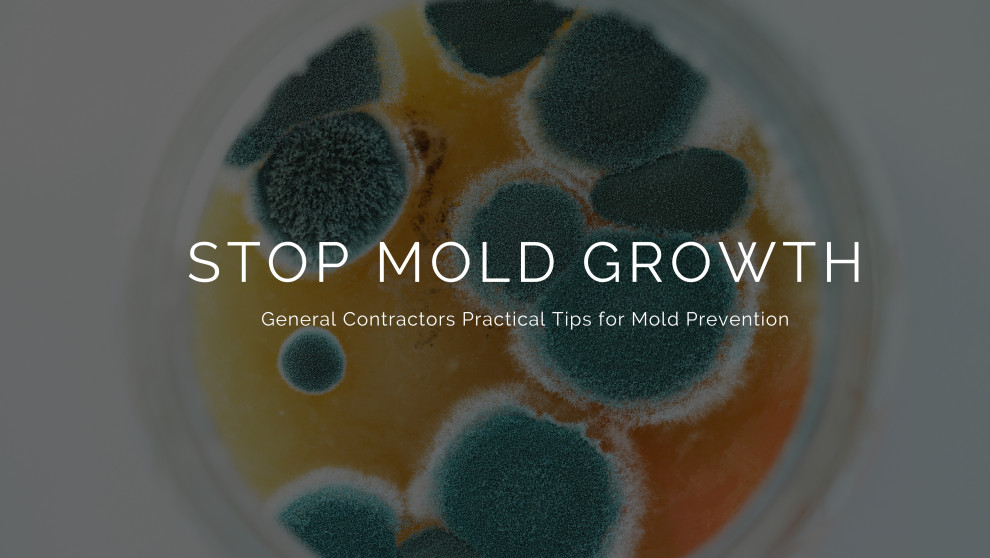 General Contractor Akron | Mold Growth