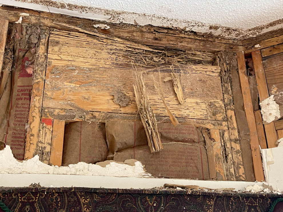 Interior Termite damage
