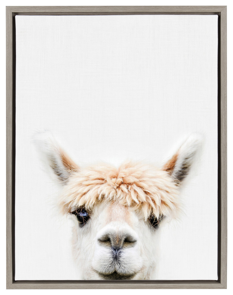 Sylvie Alpaca Bangs Animal Print Framed Canvas Art by Amy Peterson, 18