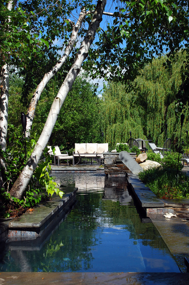 Inspiration for a contemporary rectangular pool in New York.