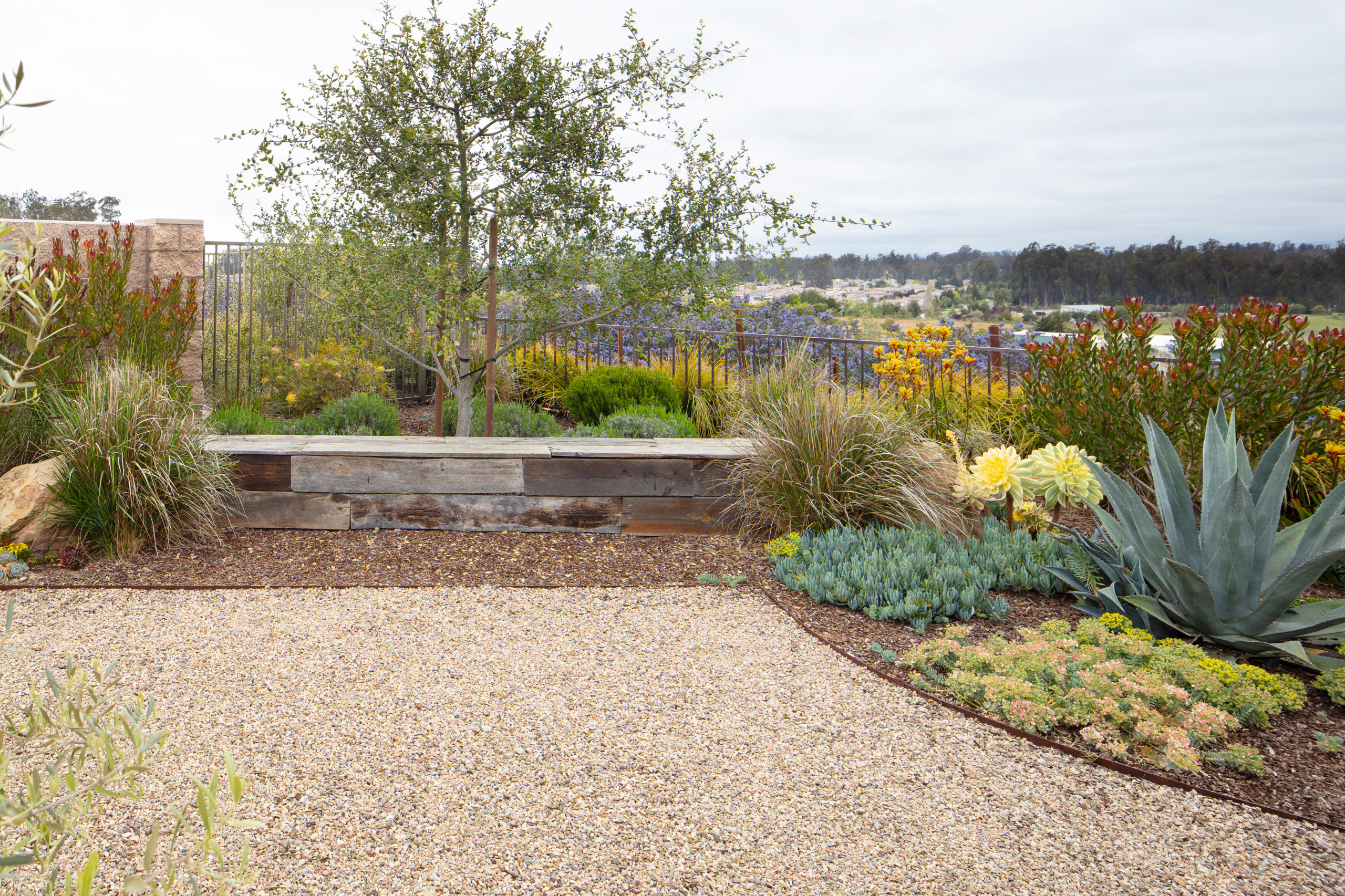 Trilogy Landscape and Outdoor Kitchen
