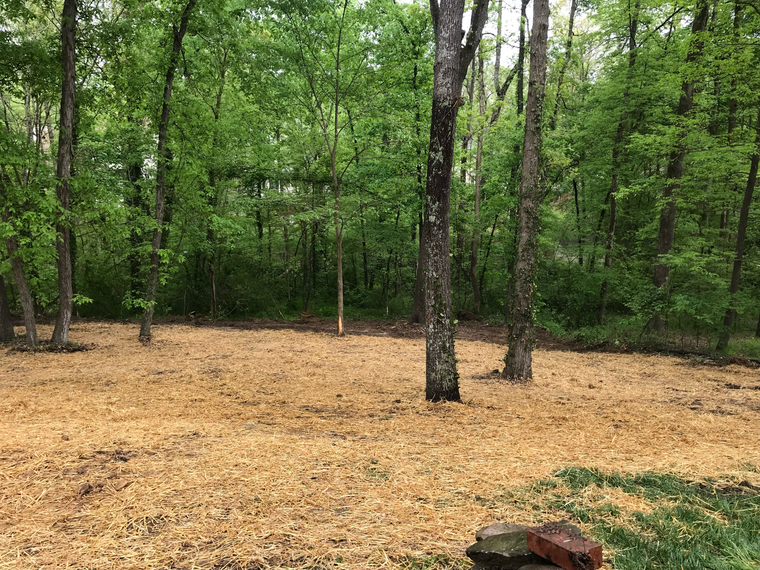Landscaping & Irrigation