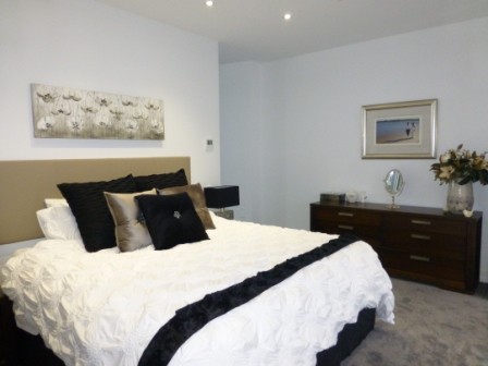 Architecturally designed home in Sandgate. Painting, wallpapering and mural contemporary-bedroom