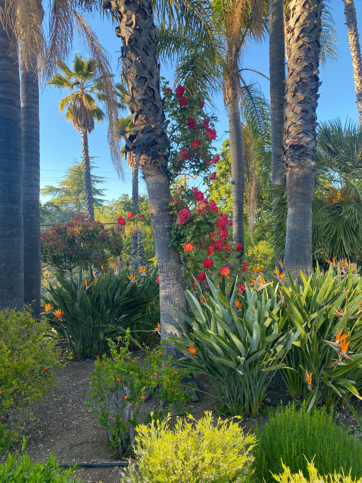 Großer Mediterraner Garten im Innenhof im Sommer mit Wüstengarten, direkter Sonneneinstrahlung und Granitsplitt in San Francisco