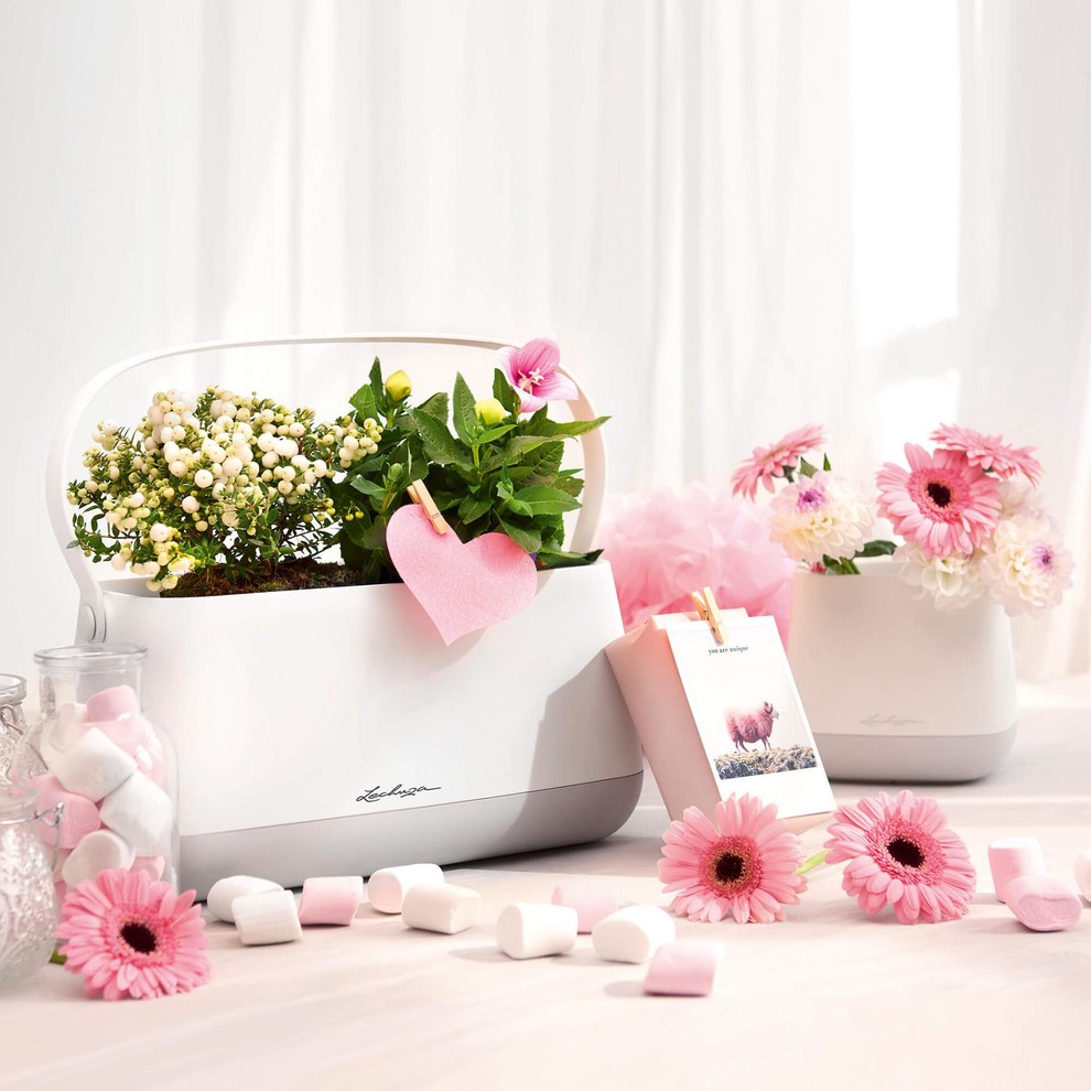 Насладитесь моментом