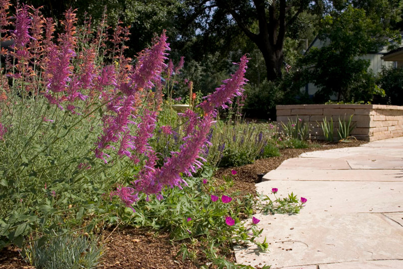 Design ideas for a large transitional drought-tolerant and full sun backyard stone landscaping in Denver.