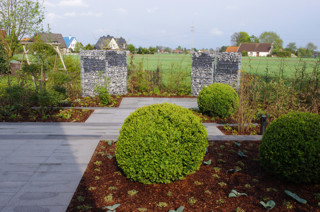 Alte Bäume im modernen Garten