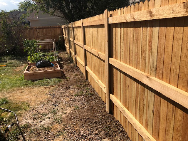 Fences