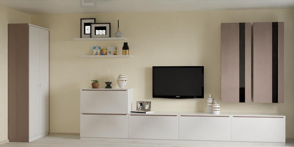 Большая комната с разным назначением