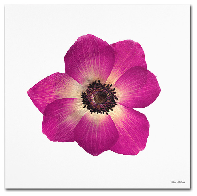 'Hot Pink Flower' Canvas Art by Kathie McCurdy, 18" x 18" Traditional