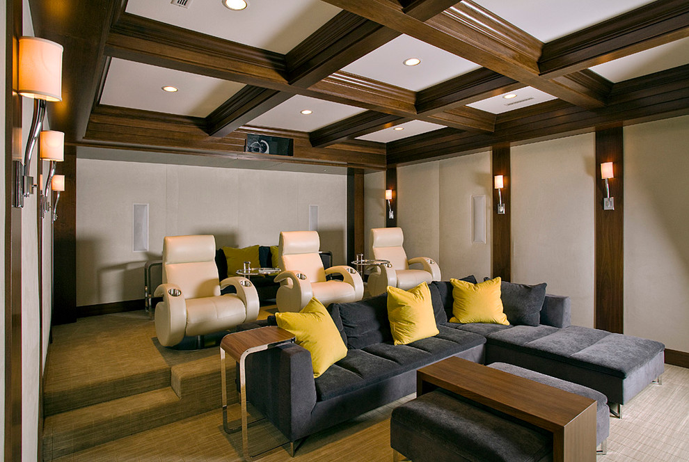 This is an example of a transitional home theatre in Chicago with carpet.