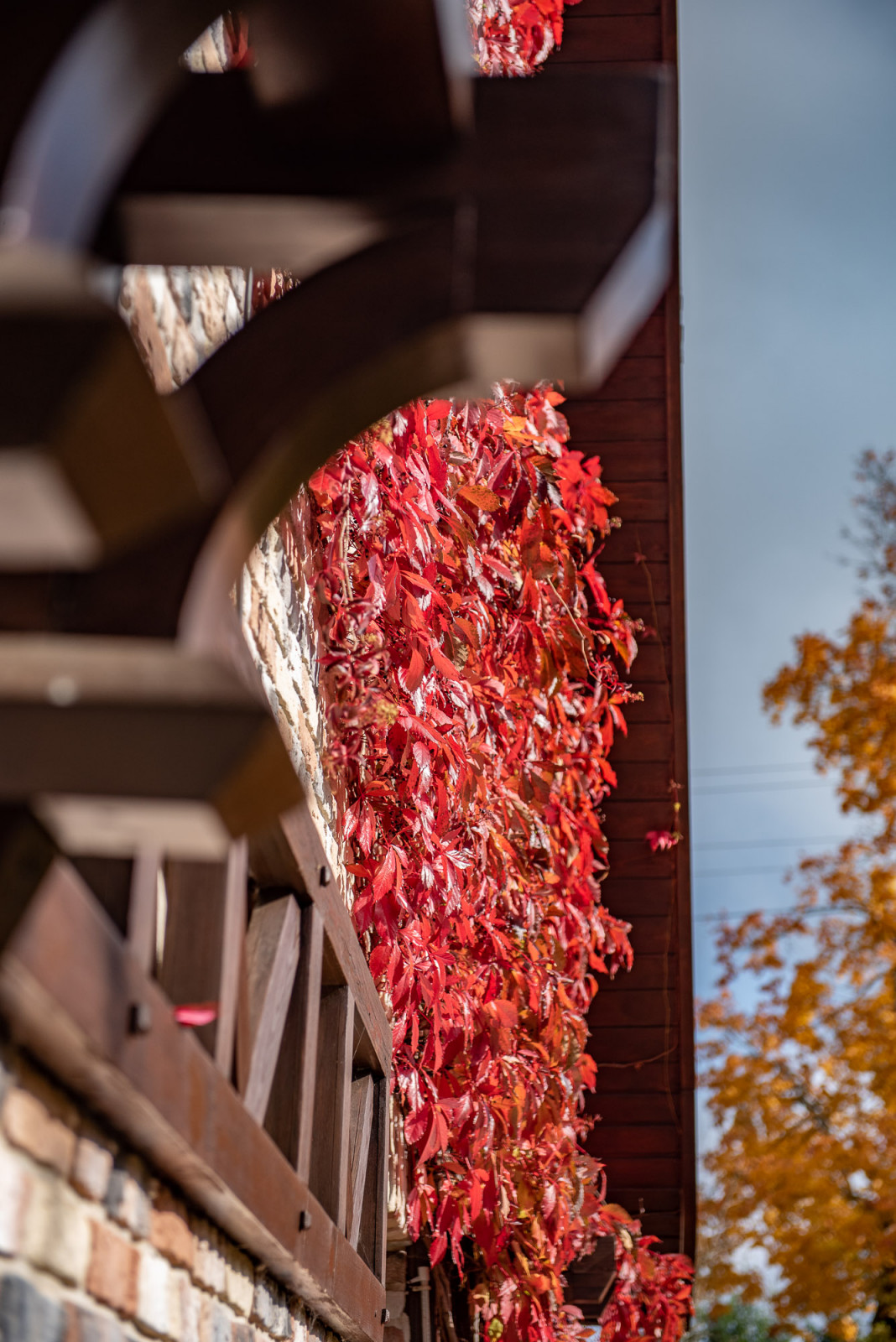 Ореховно. Музей-Усадьба.