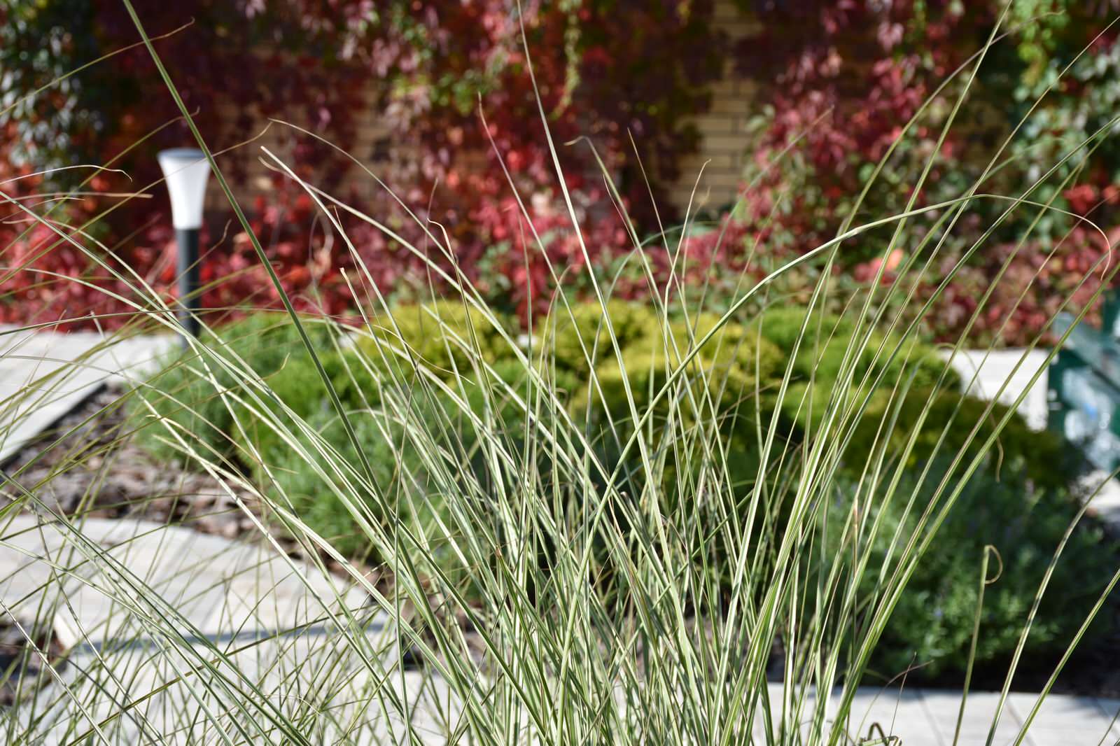 Игра в геометрию