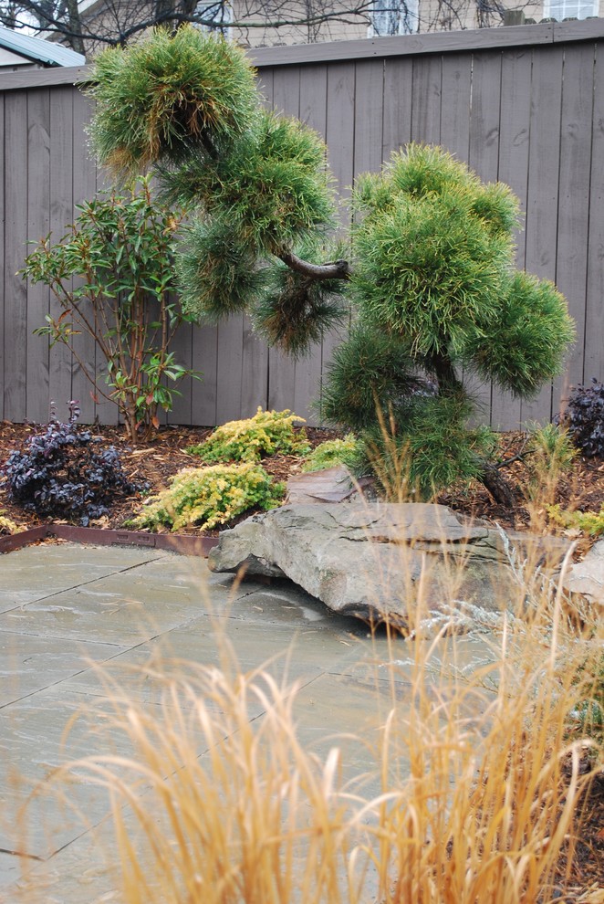 Inspiration for a contemporary landscaping in Charlotte.