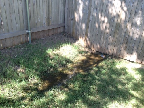 Easement in Back of yard always pooling water