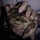 harry_bethray