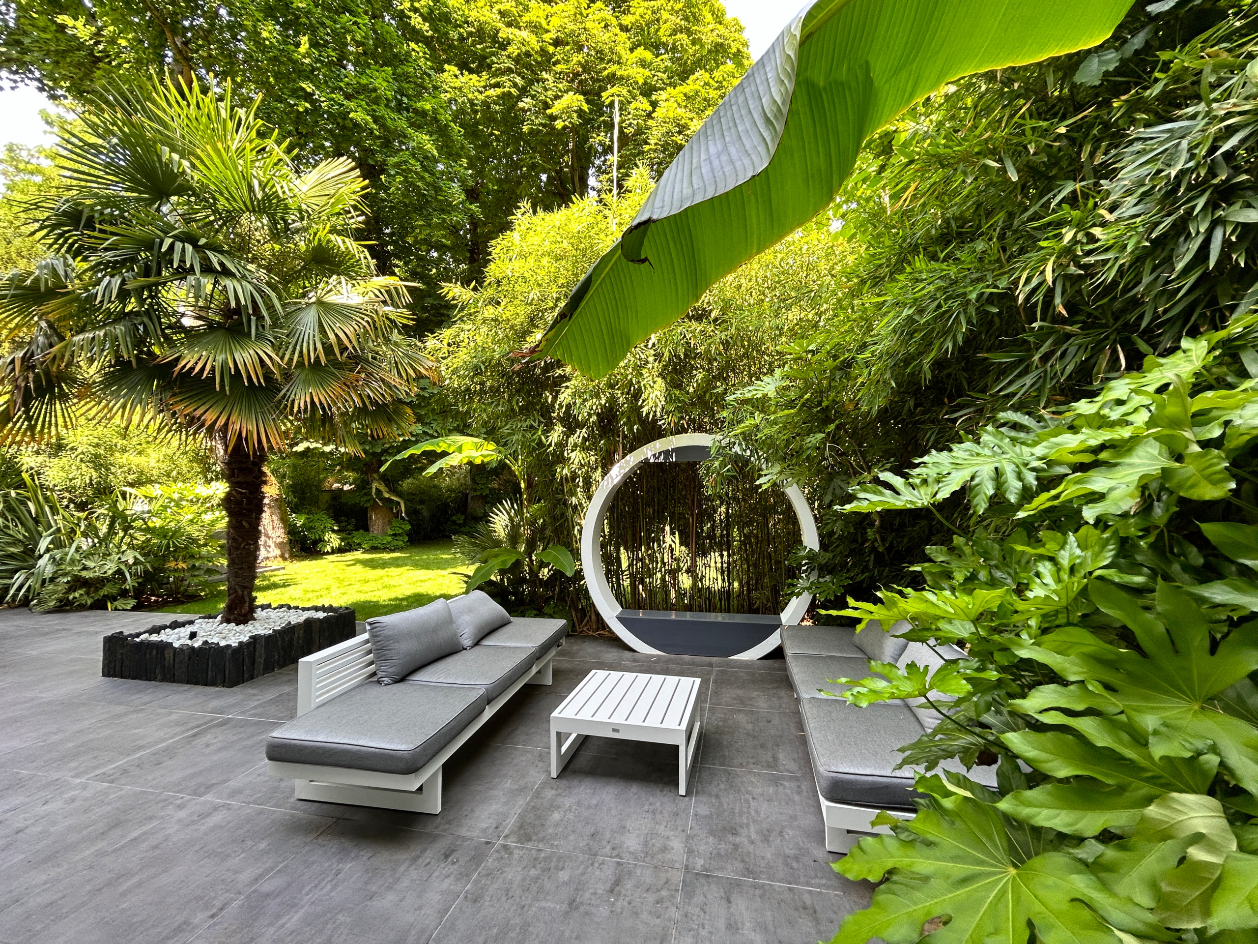 Réalisation d'un jardin tropical
