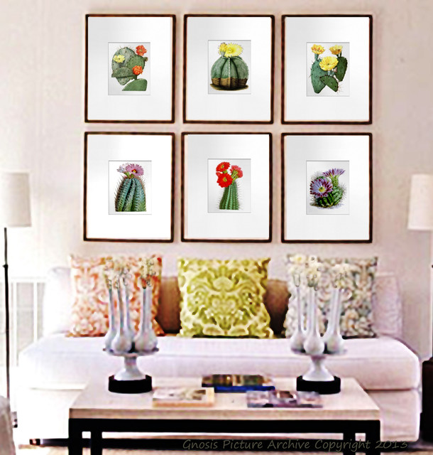 Cactus Wall Art set of 6 wall art prints flowering southwestern cacti (cactus Cactus Wall Art set of 6 wall art prints flowering southwestern cacti (cactus