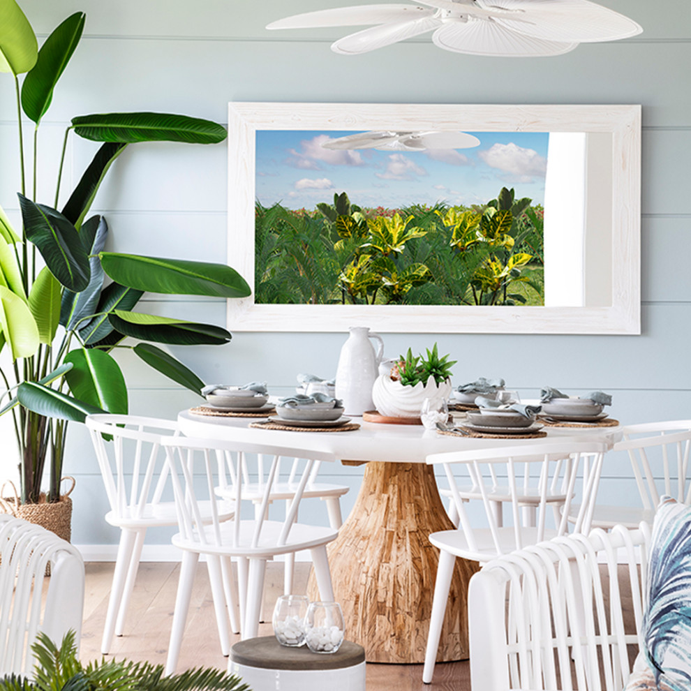 Inspiration for a mid-sized beach style open plan dining in Other with blue walls, medium hardwood floors and brown floor.
