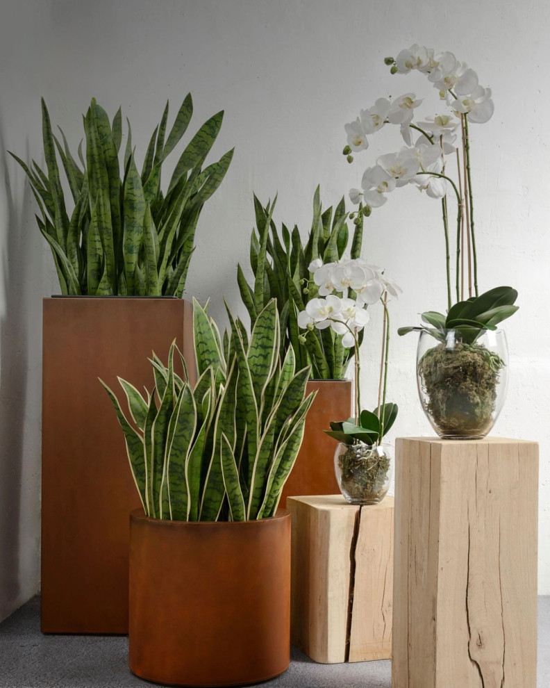 Декоративные кашпо