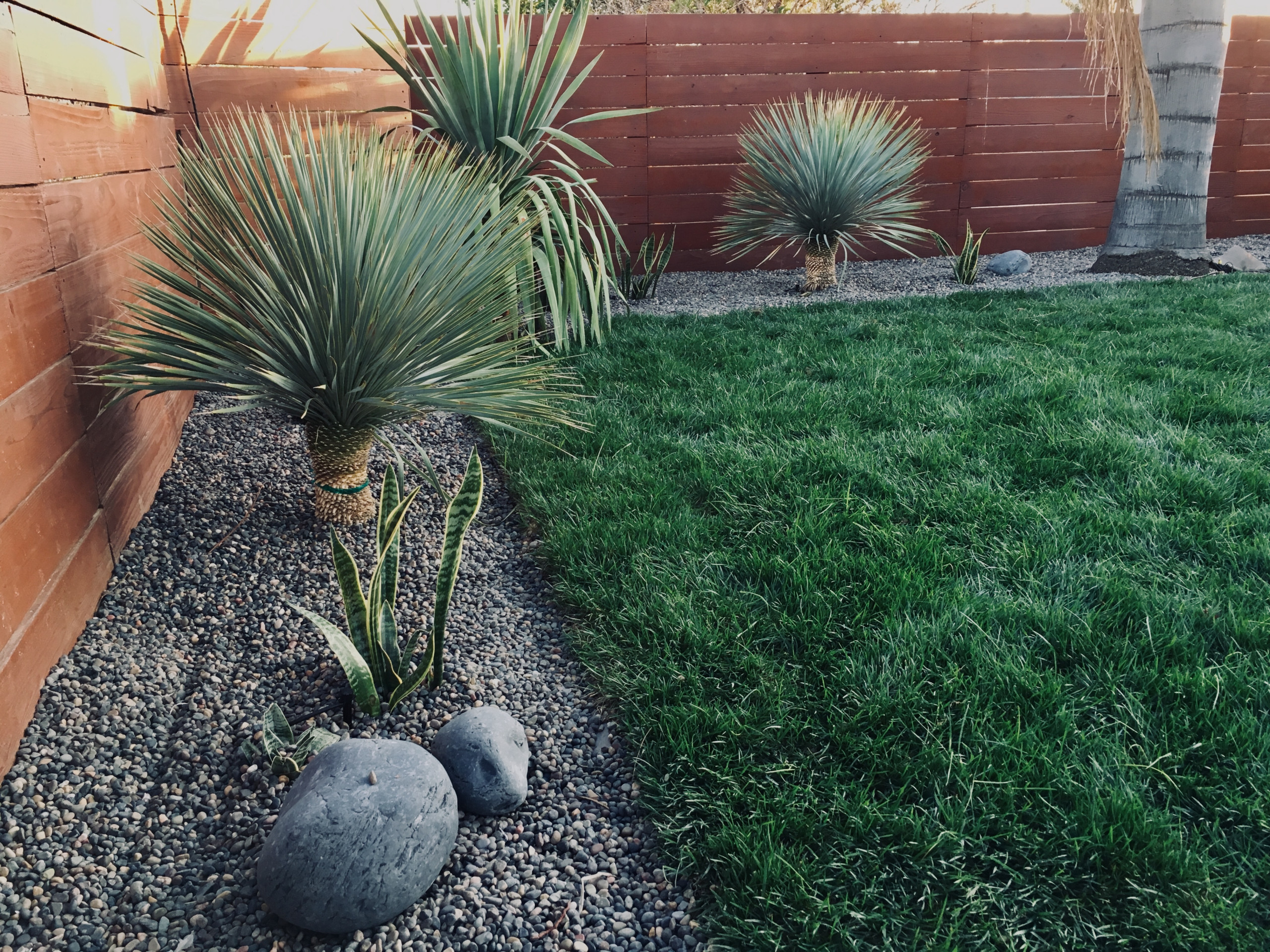 Low Maintenance Backyard Remodel